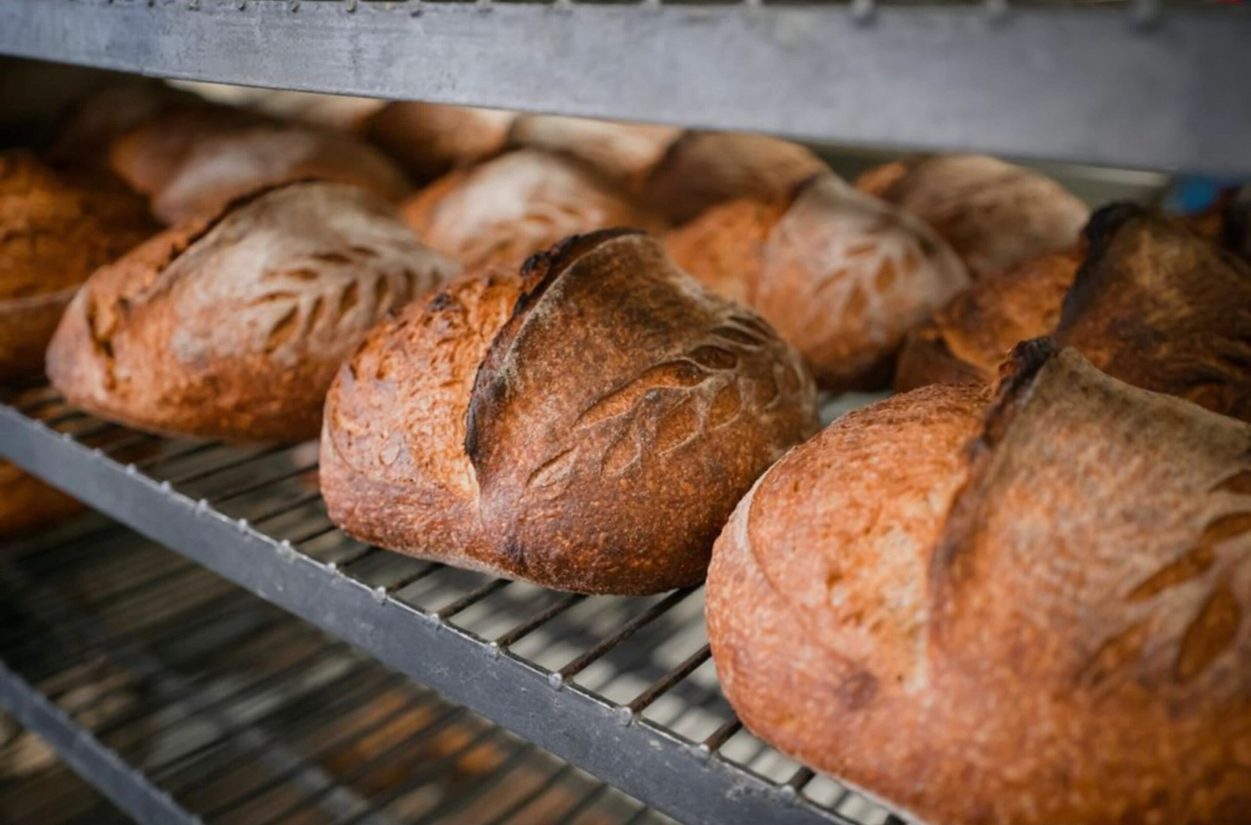 Proof Bread’s Country Sourdough Is Worth the Saturday Drive